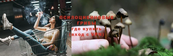 скорость Алзамай