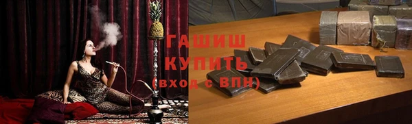 СК Алексин
