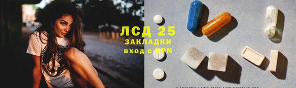 СК Алексин