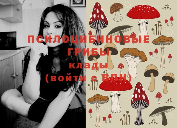 скорость Алзамай