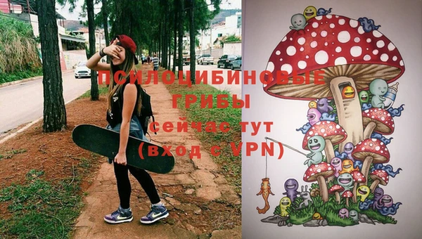 МДПВ Алексеевка